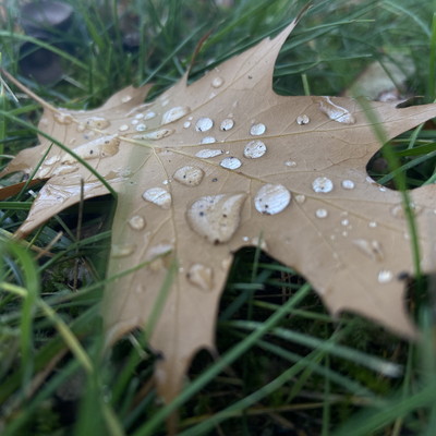 TotallyNotVal picture