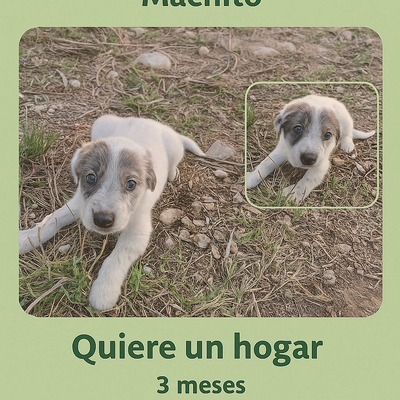 LeireElosegi picture