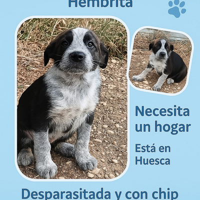 LeireElosegi picture