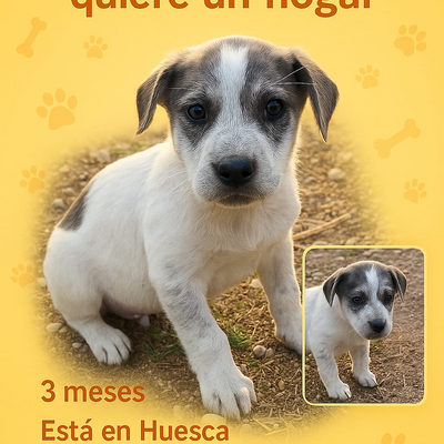 LeireElosegi picture