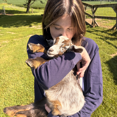 ilovemanatees picture