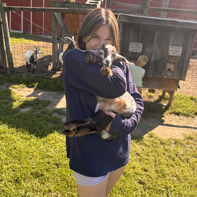 ilovemanatees picture