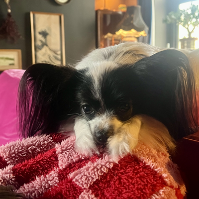 serious-squiggle picture