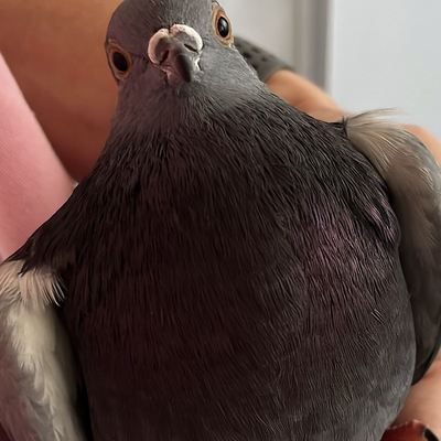 vanessa_novalee picture