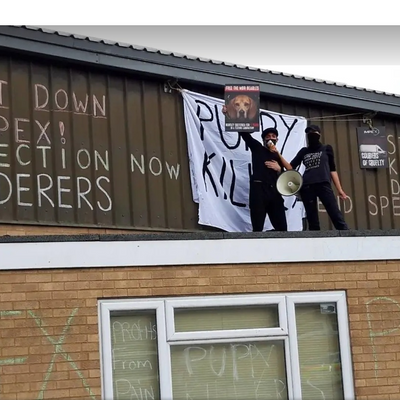 Mouse_Lamborghini picture