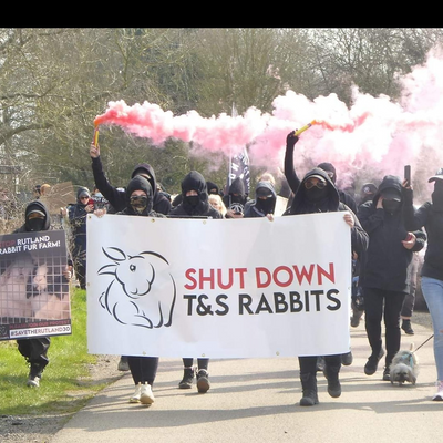 Mouse_Lamborghini picture