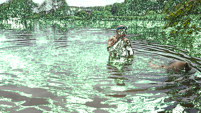 Keeswaterplant picture