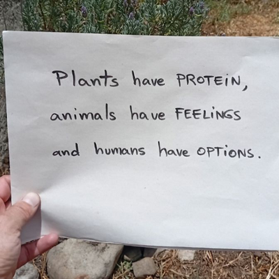 AndersonRiccardo picture