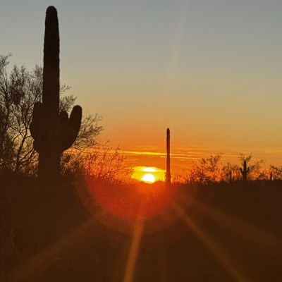 walkaboutdave picture