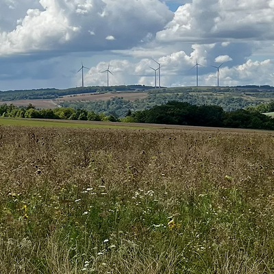 AnimalGarden picture