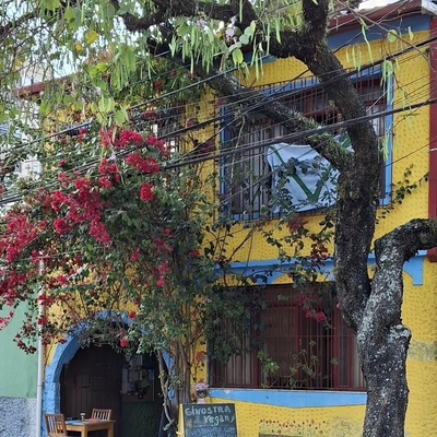 GinostraVegan picture