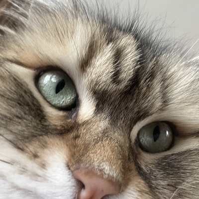 CarolineBrousse picture