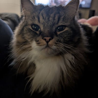 ReginaGeorge picture