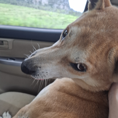 DylanLegziel picture