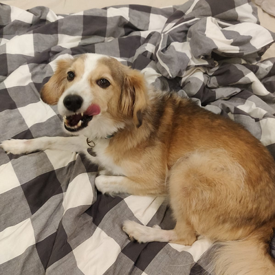 DylanLegziel picture