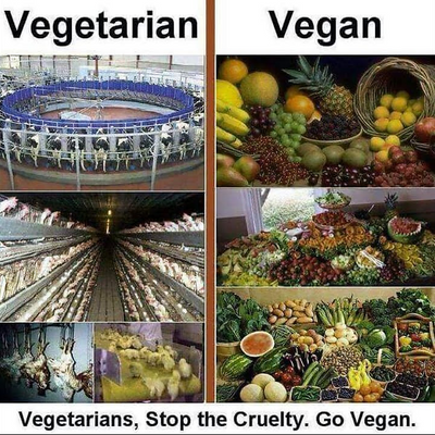 thaVegan picture