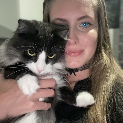 RoniCat picture