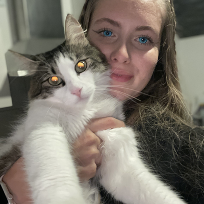 RoniCat picture