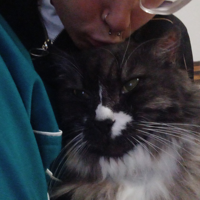 ripclyde picture
