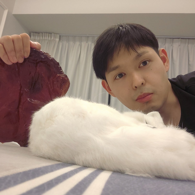 TofuInvasion picture