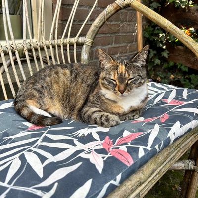 JenniferValentijn picture