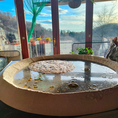 FerreroRegisLuca picture