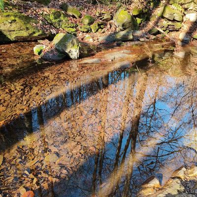 FerreroRegisLuca picture