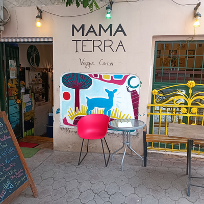 mamaterraveggiecorner picture