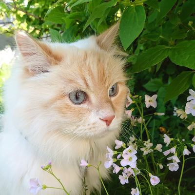 CharlotteLøvåsen picture