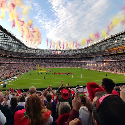 RugbyNerd picture