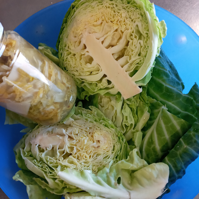 Ecoconscient picture