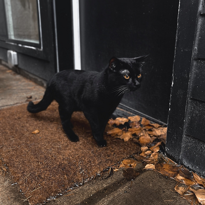 BakerGhoulMagic picture