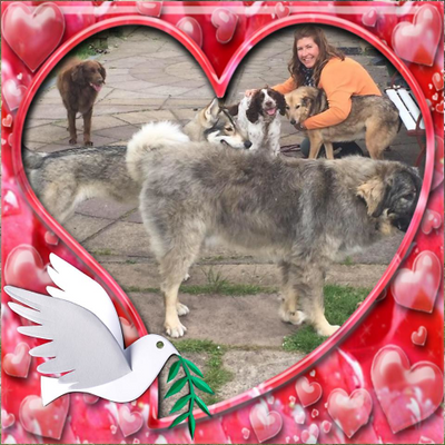 LisaMarieBrennan picture