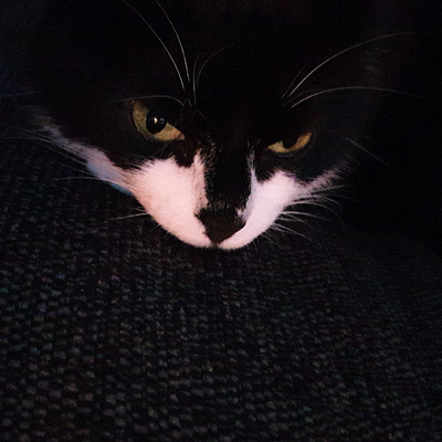 Powered_by_pringles picture