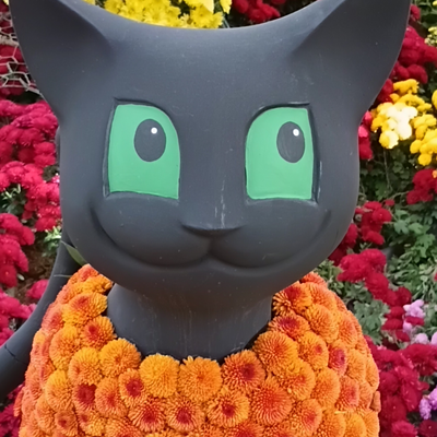 larahart picture