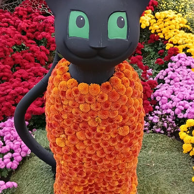 larahart picture
