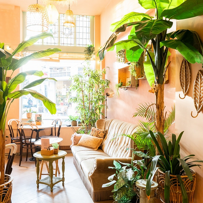 ClaireMacNeilage picture