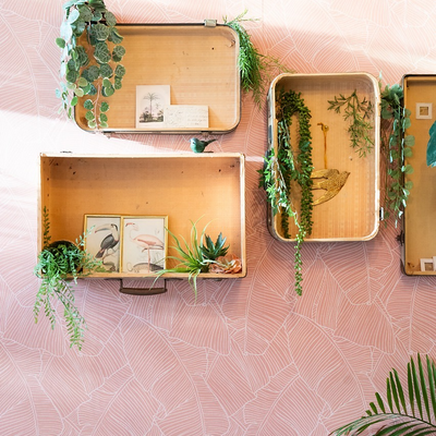 ClaireMacNeilage picture