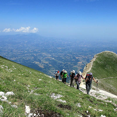 Annatafa picture