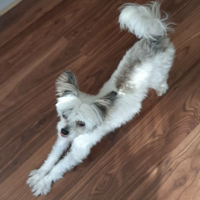 SandyLeoNora picture