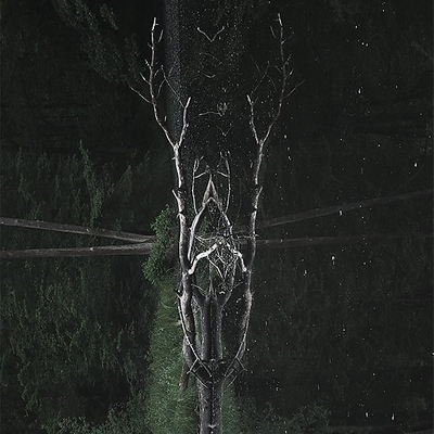 TomaszPragski picture