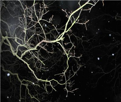 LoveVeganGreasyFood picture