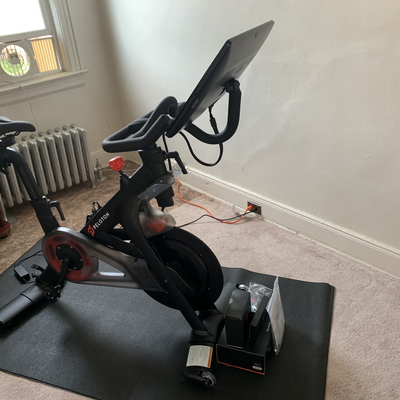 LadyVeganPeloton picture