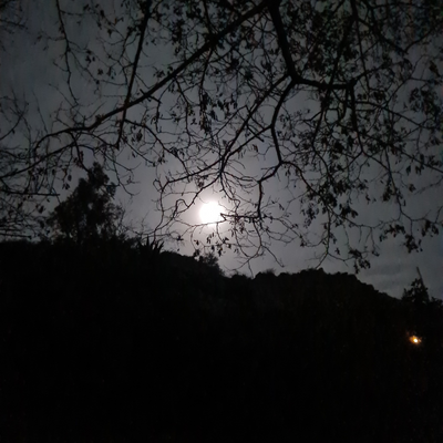 rocrisostomo picture