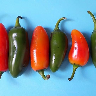 ErikaGaraicoa picture