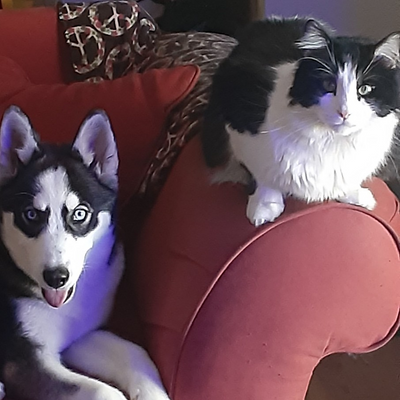 JenniferFrancesRocc picture