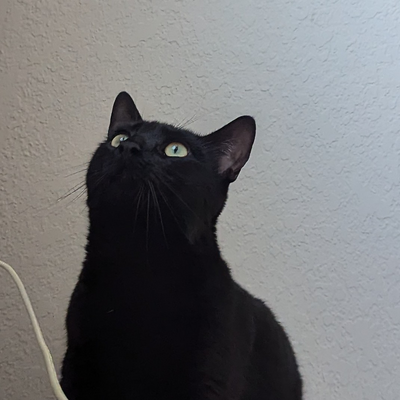 HoangThuThaoHo picture