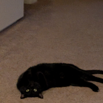 HoangThuThaoHo picture