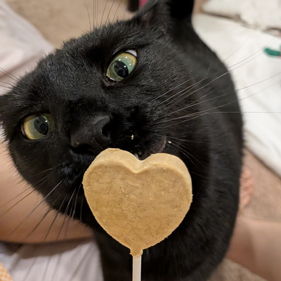 HoangThuThaoHo picture