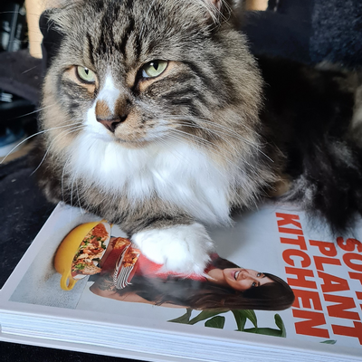 AnotherVeganGoth picture